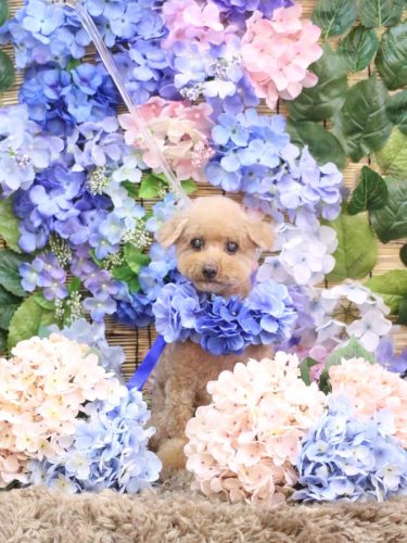 20250619ノアちゃん